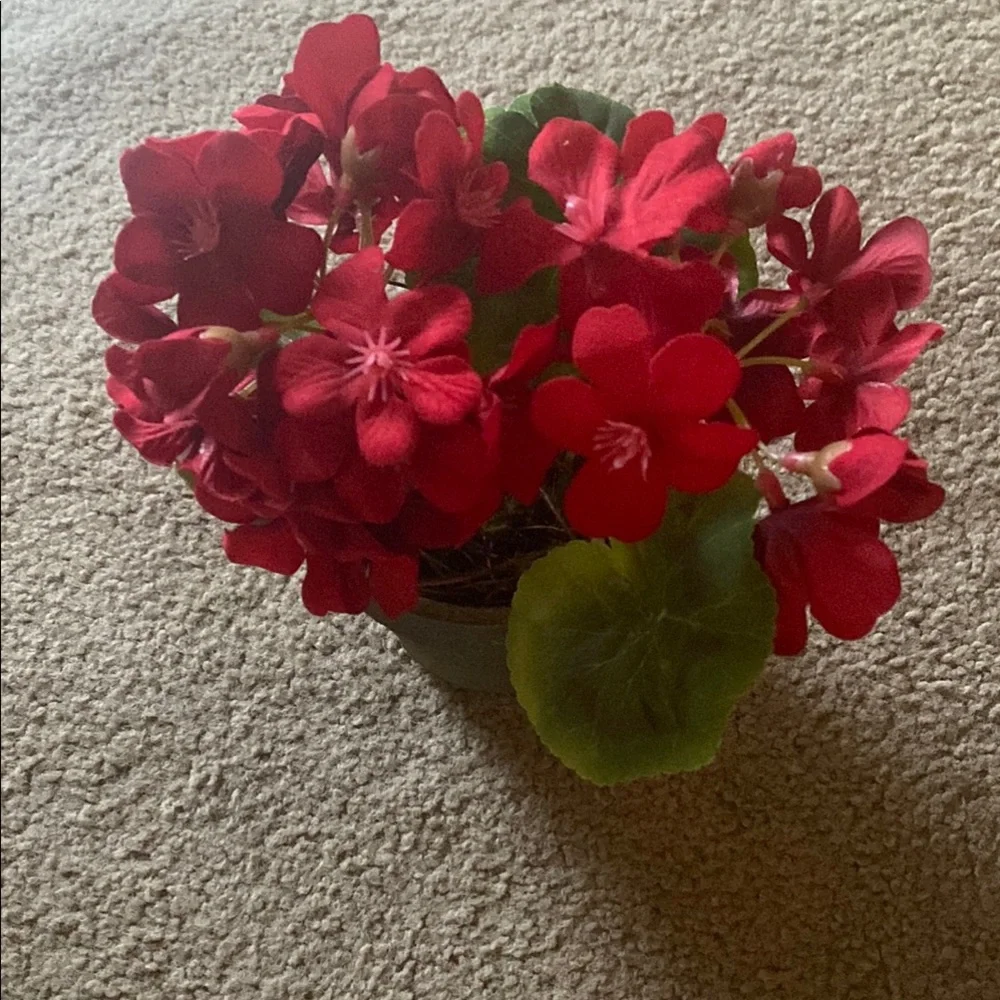 Elegant Red Floral Arrangement